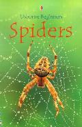 Usborne Beginners Spiders