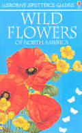 Wild Flowers Of North America Revised