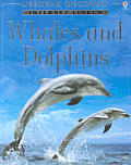 Whales & Dolphins Internet Linked