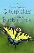 Caterpillars & Butterflies Usborne Inter