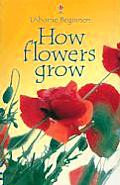 How Flowers Grow Usborne Beginner Intern