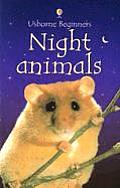 Night Animals Usborne Beginner Internet