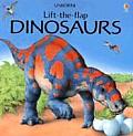 Dinosaurs Lift The Flap