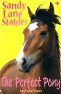 Sandy Lane Stables Perfect Pony