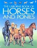 Usborne Book of Horses & Ponies