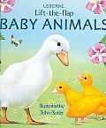 Baby Animals Lift The Flap