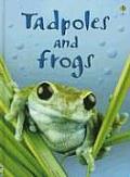 Tadpoles & Frogs Level 1 Internet Ref
