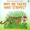 Why Do Tigers Have Stripes