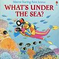 Whats Under The Sea