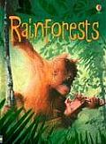 Rainforest Level 2 Internet Reference