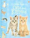 Little Book Of Cats & Kittens