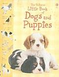 Little Book Of Dogs & Puppies