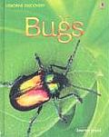 Bugs Il