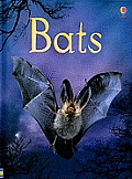 Bats Internet Referenced