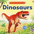 Dinosaurs Lift & Look