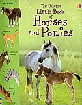 Little Book of Horses & Ponies IR