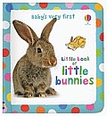 Babys Very First Little Book of Bunnies