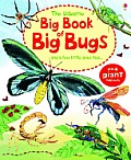 Usborne Big Book of Big Bugs