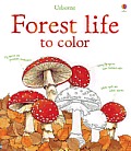 Forest Life to Color