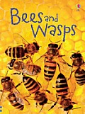 Bees & Wasps
