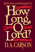 How Long O Lord Reflections On Sufferin