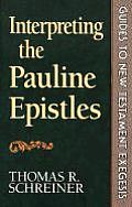 Interpreting The Pauline Epistles Guide