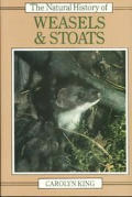 Natural History Of Weasels & Stoats
