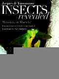 Insects Revealed Monsters Or Marvels