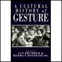 Cultural History Of Gesture