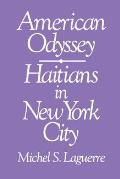American Odyssey Haitians In New York