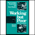 Working But Poor Americas Contradicti