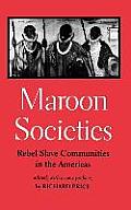 Maroon Societies: Rebel Slave Communities in the Americas