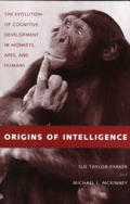Origins Of Intelligence