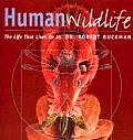 Human Wildlife The Life That Lives On Us