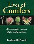 Lives of Conifers A Comparative Account of the Coniferous Trees