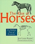 The Rise of Horses: 55 Million Years of Evolution
