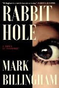 Rabbit Hole A Novel