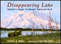 Disappearing Lake Natures Magic In Denal