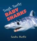 Tough, Toothy Baby Sharks