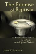 Promise of Baptism: An Introduction to Baptism in Scripture and the Reformed Tradition