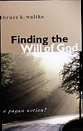 Finding The Will Of God A Pagan Notion