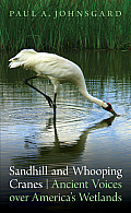 Sandhill and Whooping Cranes: Ancient Voices Over America's Wetlands