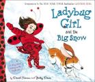 Ladybug Girl & the Big Snow