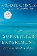 Surrender Experiment My Journey into Lifes Perfection