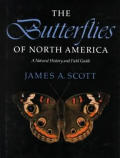 Butterflies Of North America