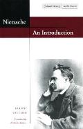 Nietzsche Philosophy as Cultural Criticism