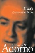 Kants Critique Of Pure Reason