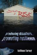 Social Roots Of Risk Producing Disasters Promoting Resilience