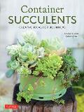 Container Succulents Creative Ideas for Beginners
