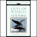 Lives Of Whales & Dolphins